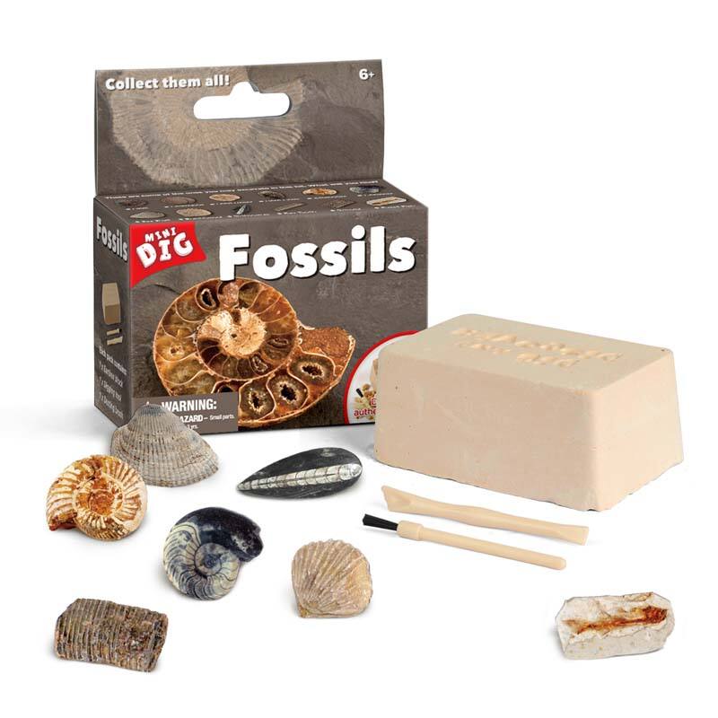 Fossils