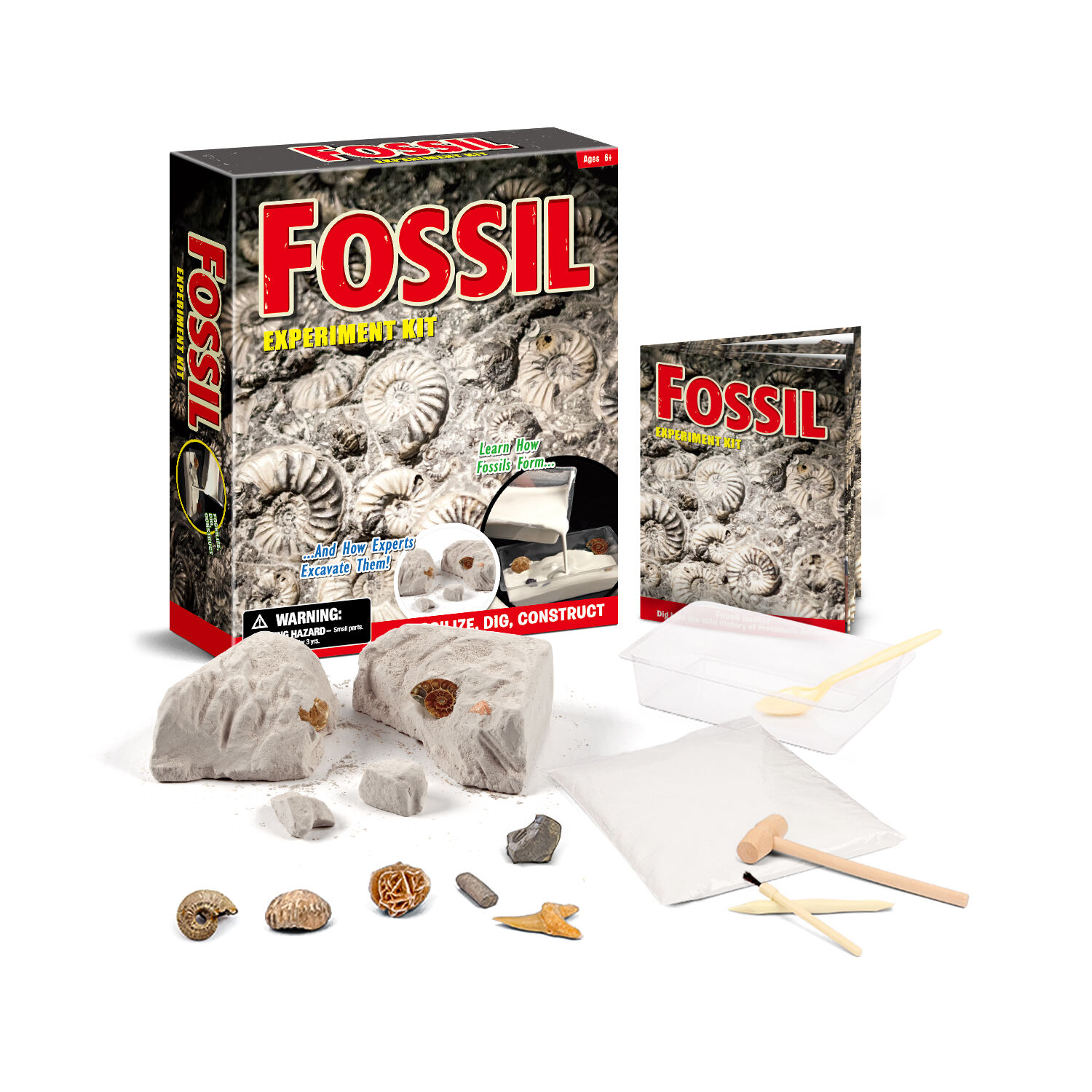 Kit d'expérimentation fossile