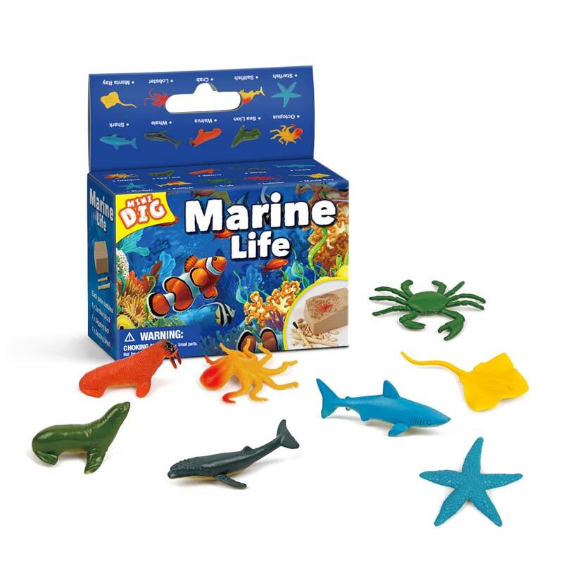 Marine Life