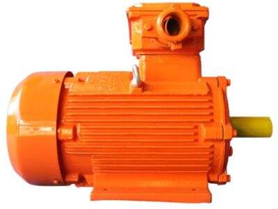 Ex d Motor: Installation Guide for Industrial Hazard Zones