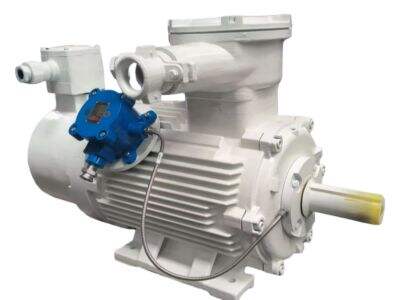 Flameproof Motor for Chemical Plants: Hazard Prevention Best Practices