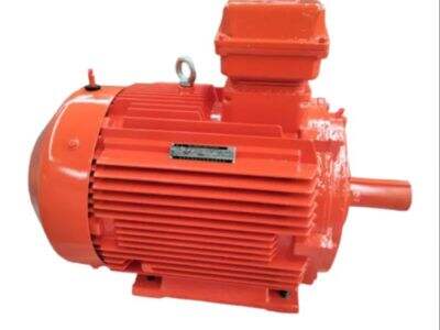 Explosion Proof Electric Motor: Top Manufacturers & Product Reviews