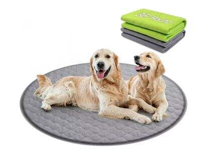 How Washable Pet Pads Simplify Pet Training and Cleanup