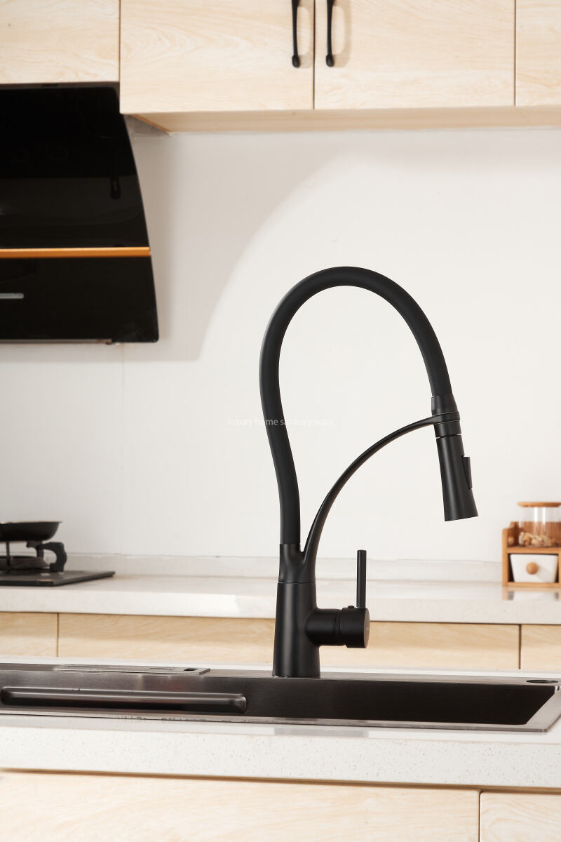 Best-selling Modern Simple Leather Tube Tee-black Kitchen Faucet Pull Mixer Sink Faucet Single Handle Deck Installation Ceramics details
