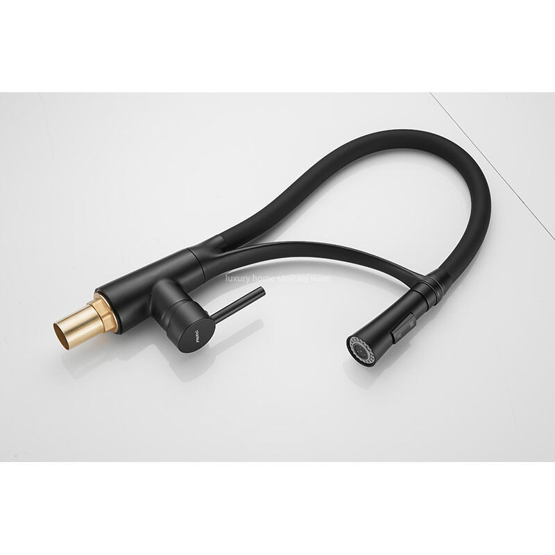 Best-selling Modern Simple Leather Tube Tee-black Kitchen Faucet Pull Mixer Sink Faucet Single Handle Deck Installation Ceramics supplier