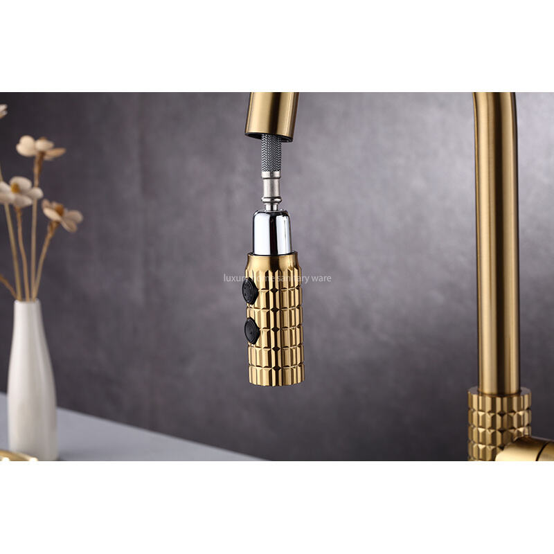 Modern Style Kitchen Faucet, Single Handle High Quality Kitchen Sink Faucet with Pull-down Sprayer details