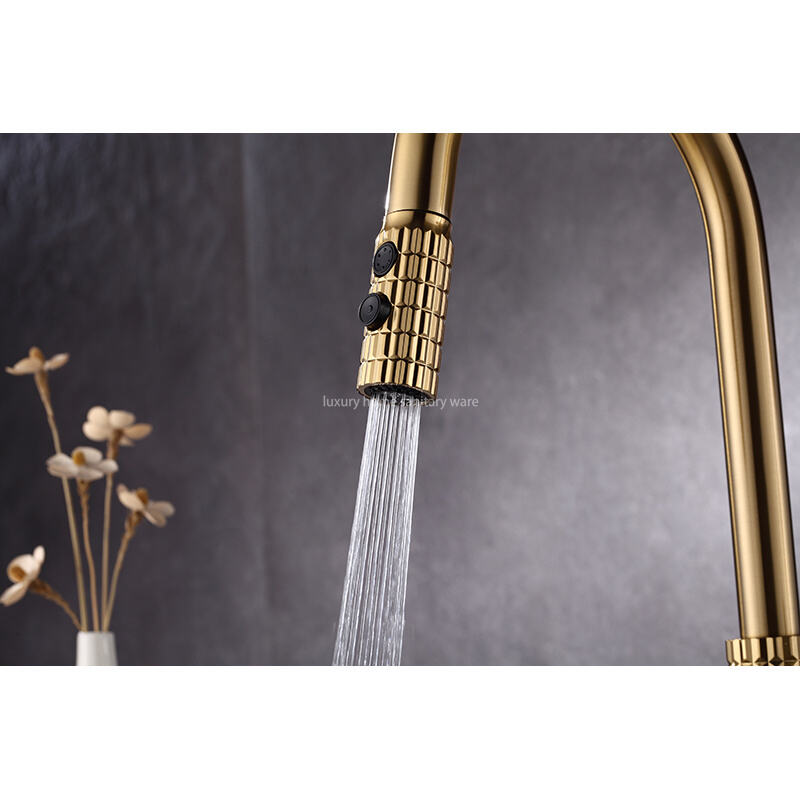 Modern Style Kitchen Faucet, Single Handle High Quality Kitchen Sink Faucet with Pull-down Sprayer factory