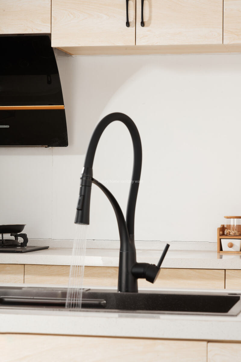 Best-selling Modern Simple Leather Tube Tee-black Kitchen Faucet Pull Mixer Sink Faucet Single Handle Deck Installation Ceramics manufacture