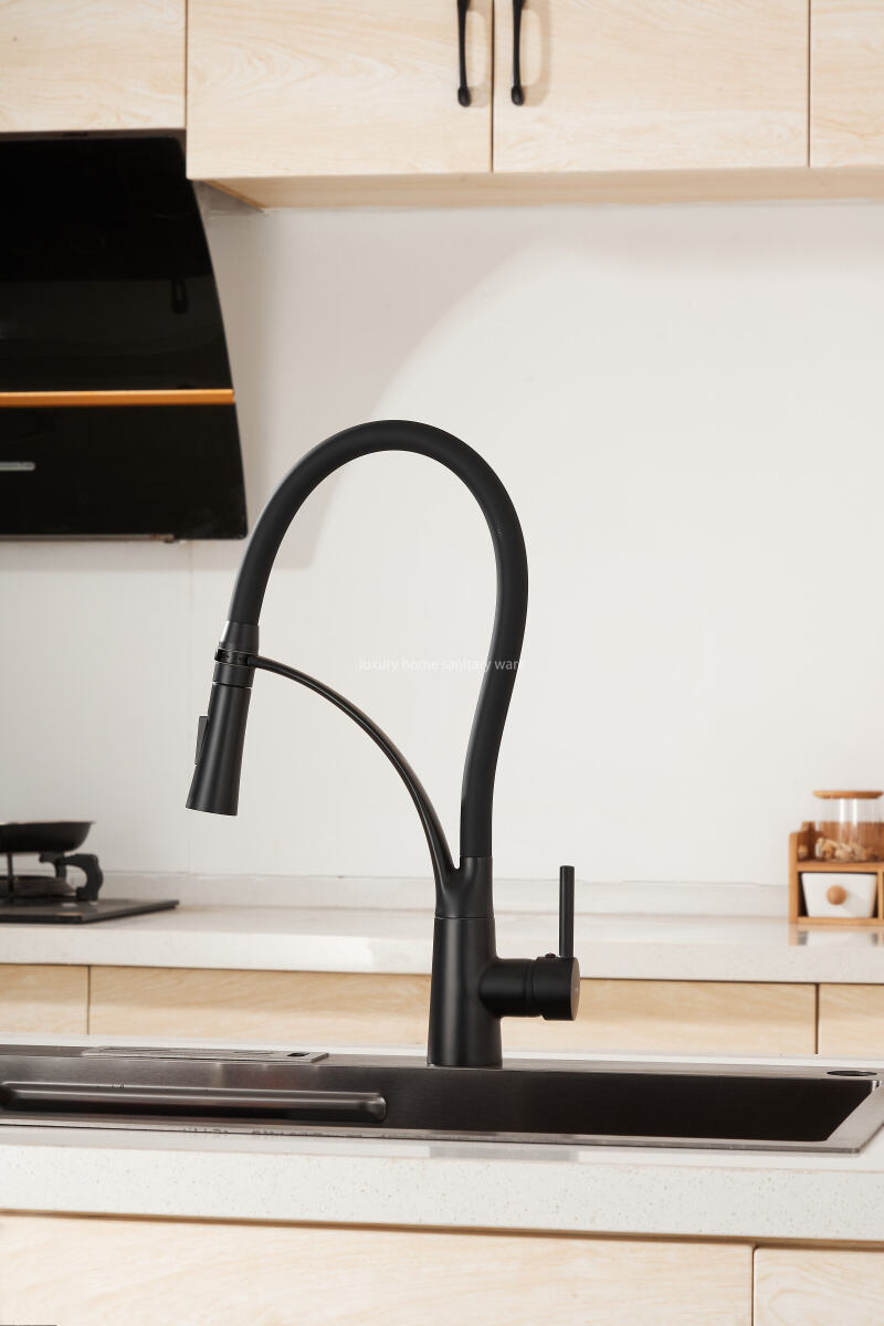 Best-selling Modern Simple Leather Tube Tee-black Kitchen Faucet Pull Mixer Sink Faucet Single Handle Deck Installation Ceramics details