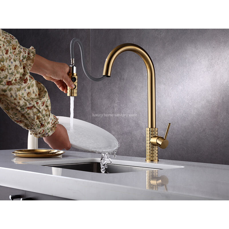 Modern Style Kitchen Faucet, Single Handle High Quality Kitchen Sink Faucet with Pull-down Sprayer details