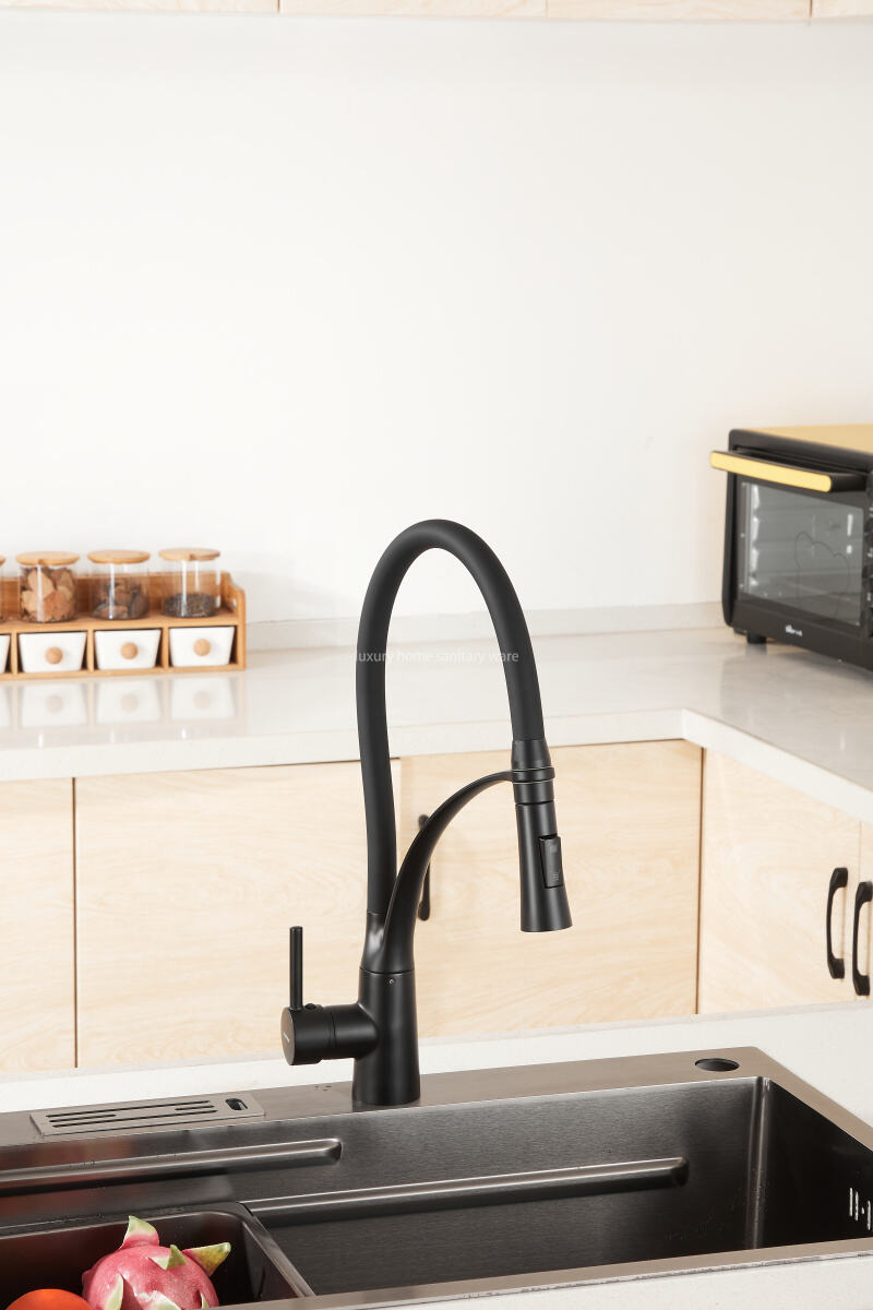 Best-selling Modern Simple Leather Tube Tee-black Kitchen Faucet Pull Mixer Sink Faucet Single Handle Deck Installation Ceramics supplier