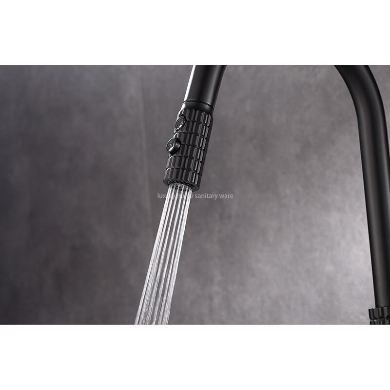 Factory Straight Hair High Quality Modern Single Handle Matte Black Kitchen Sink Faucet Simple Drop-down Sprayer. supplier