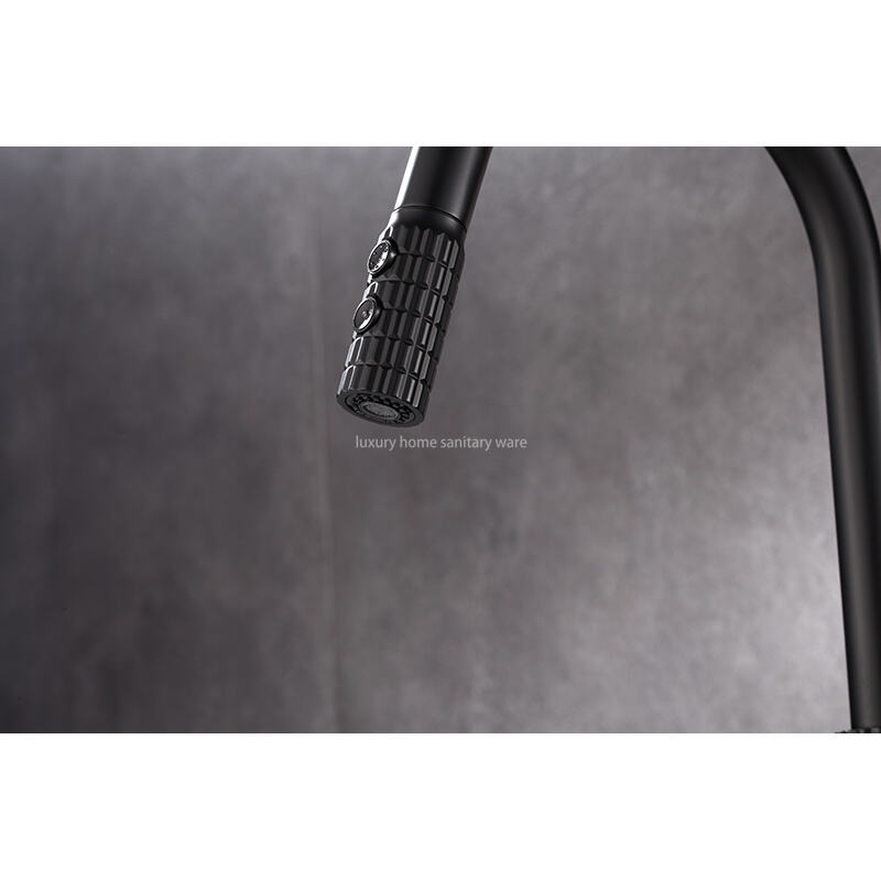 Factory Straight Hair High Quality Modern Single Handle Matte Black Kitchen Sink Faucet Simple Drop-down Sprayer. factory