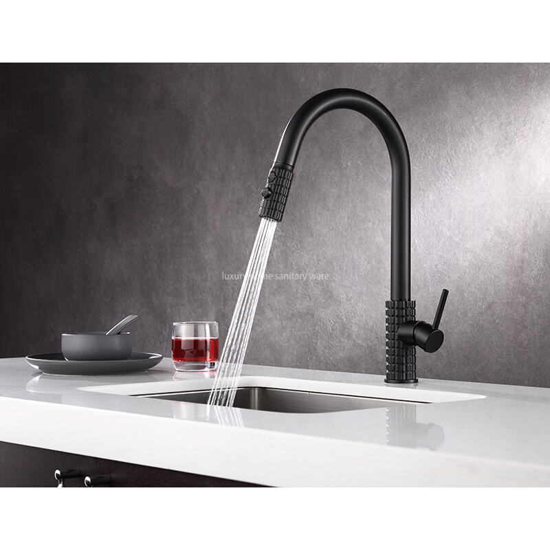 Factory Straight Hair High Quality Modern Single Handle Matte Black Kitchen Sink Faucet Simple Drop-down Sprayer. supplier