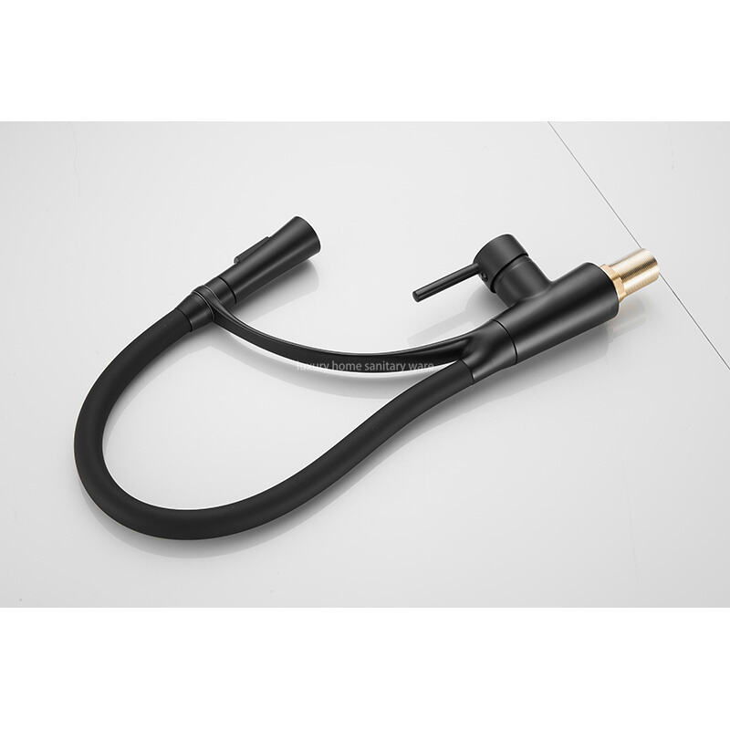 Best-selling Modern Simple Leather Tube Tee-black Kitchen Faucet Pull Mixer Sink Faucet Single Handle Deck Installation Ceramics factory