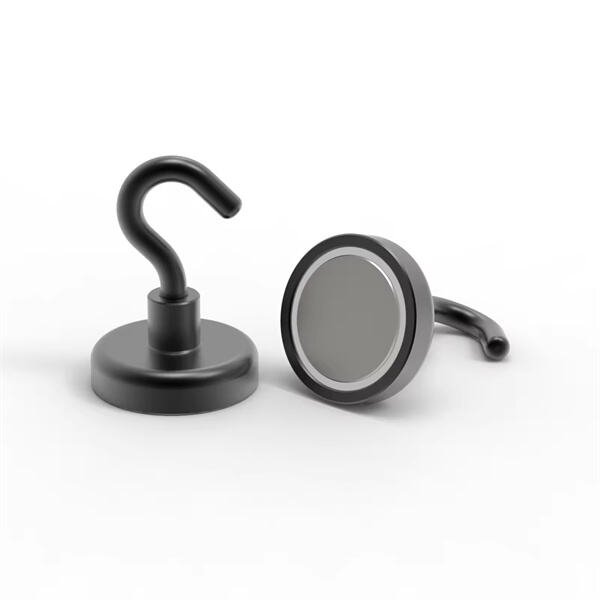 Magnetic Wall Hooks for Any Room