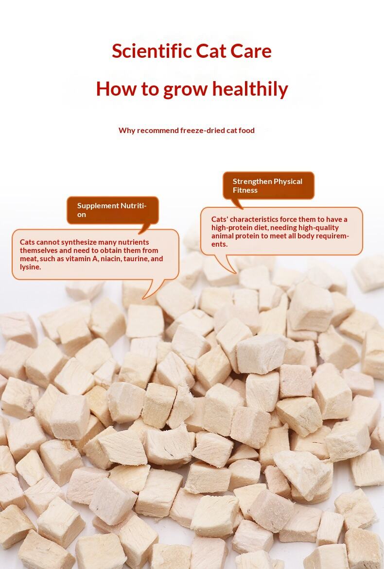 Pet Freeze-Dried Chicken Breast Cat Snacks Weifang Origin Staple Food details