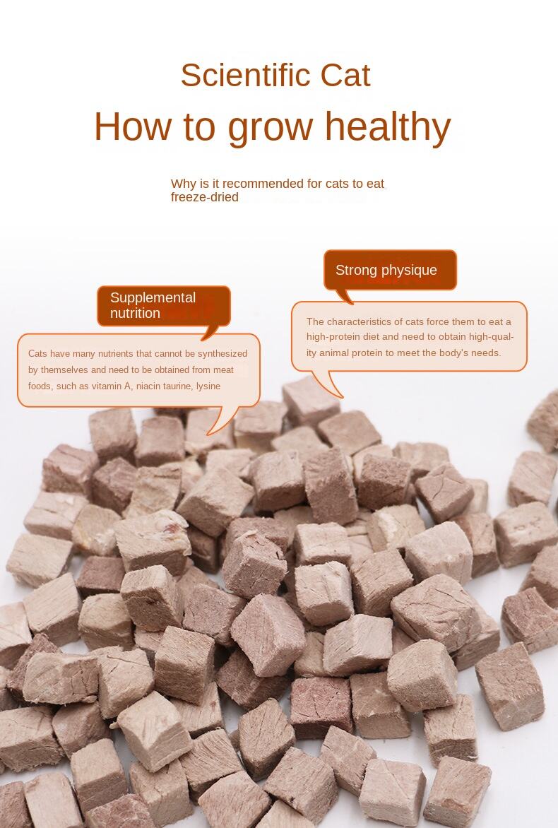 Bulk and Retail Freeze-Dried Adult Cat Snacks with Duck Meat for Adult Cats Weifang Origin details