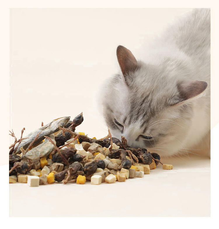 OEM Processing Custom Freeze Dried Pet Snacks with Chicken Duck Quail & Salmon Grains for Chickens Skin & Coat Health details