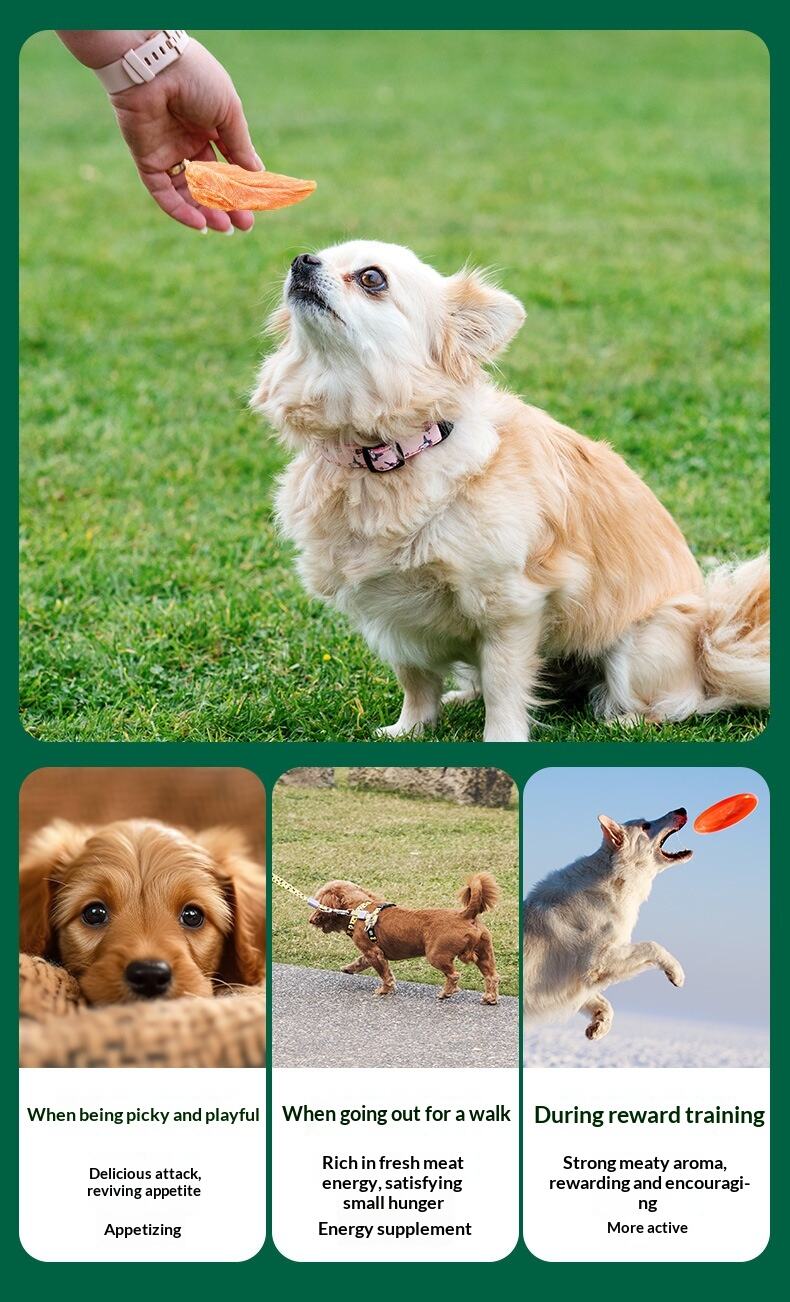 Source Factory Pet Cat Dog Grilled Chicken Dried Training Reward Snacks Grinding Bar factory