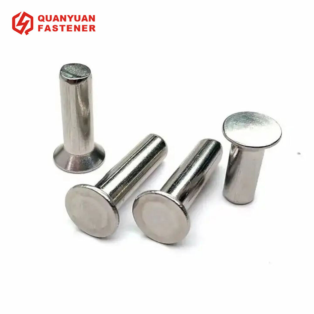 18-8 Stainless Steel Domed Head Solid Rivets