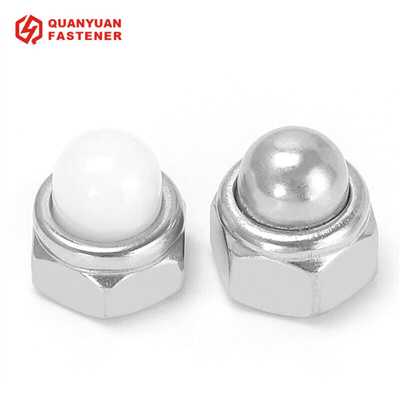 Stainless Steel Nylon Acorn Cap Dome Nuts