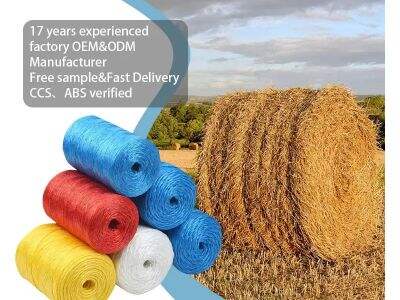 How Buoyancy Affects the Efficiency of Your Fishing Traps and Nets