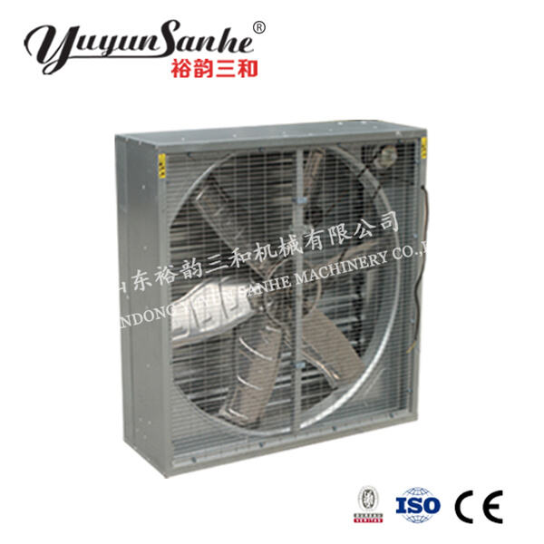 Large 50-Inch Fan for Maximum Room Coverage