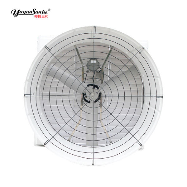 Minimize Health Risks and Increase Productivity for Your Poultry Farm