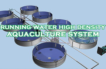Why choose flowing water high-density aquaculture