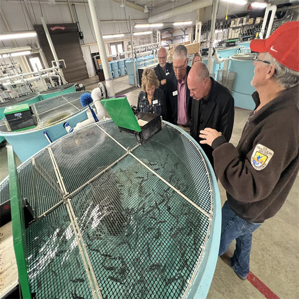 How aquaculture provides a reliable source of nutritious protein.