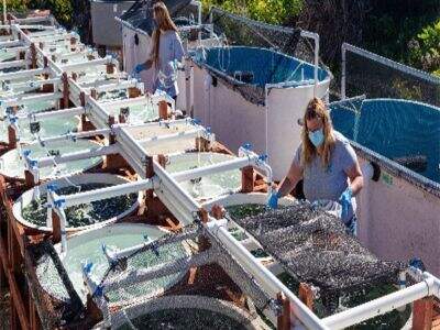 Udaljena tehnička podrška obuhvaća rješavanje problema pametnih sustava za praćenje