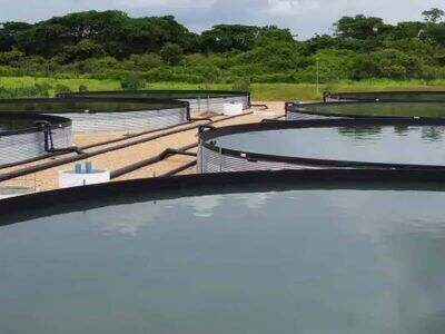 Chinese expert team brings you a aquaculture system with significantly reduced costs