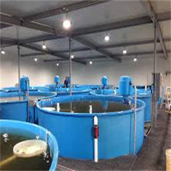 Use of RAS System Aquaculture: