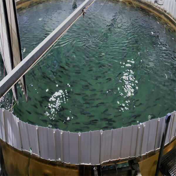 The Economic and Social Impact of Aquaculture on Coastal Communities