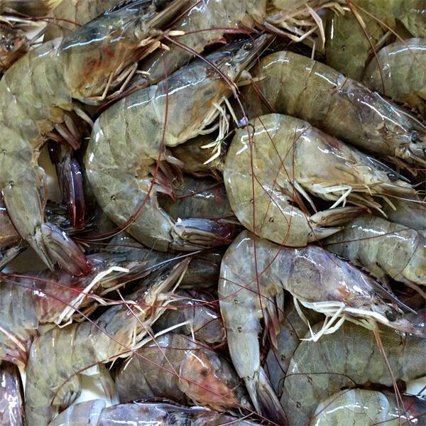 The rise of freshwater shrimp as a popular seafood choice