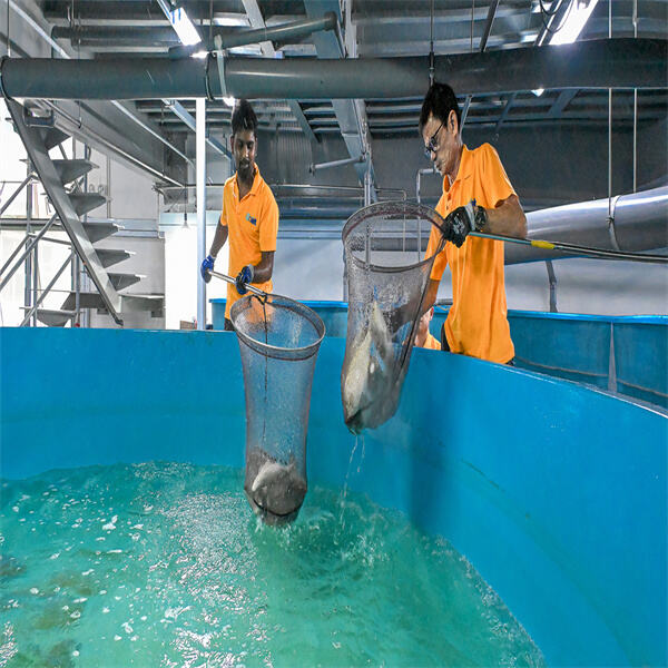 The benefits of eco-friendly aquaculture technologies