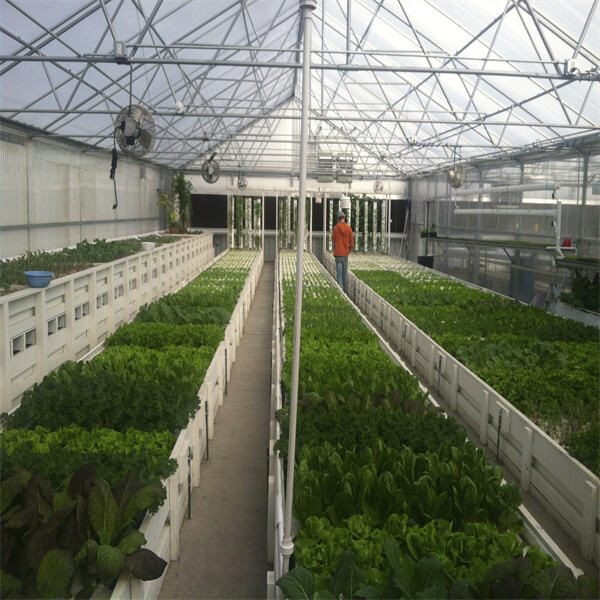 Maximizing plant growth and fish health through proper system design