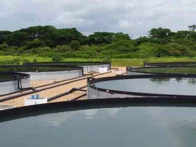 Effective Ways to Reduce Costs in Your New Aquaculture Plan