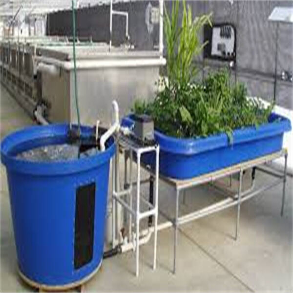 Safety of Aquaponics Kits