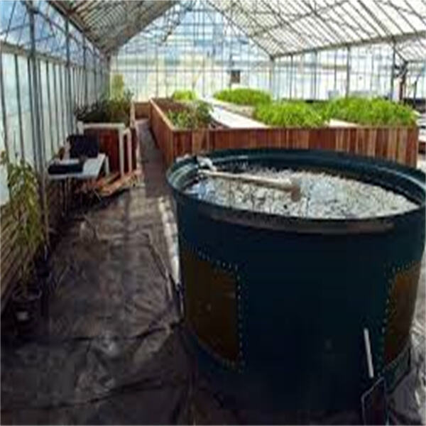 Service and Quality of Aquaponics Greenhouse