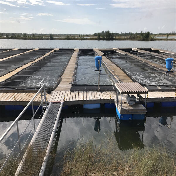 Boosting Profitability and Productivity with Aquaculture Raceways