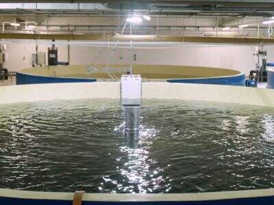 New Insights on Land Versus Ocean Fish Farming