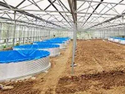 スマートでモジュール式のインフラを活用した持続可能な屋内魚類養殖