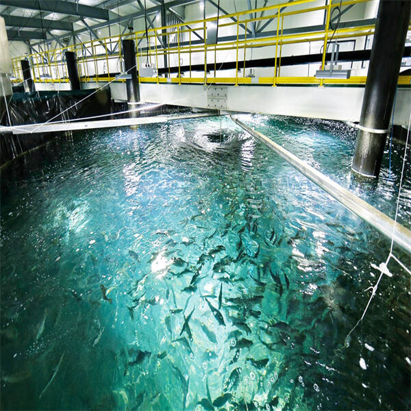 Innovations in technology driving the growth of extensive aquaculture