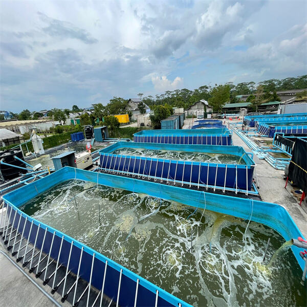 How intensive aquaculture is shaping the future of fish farming