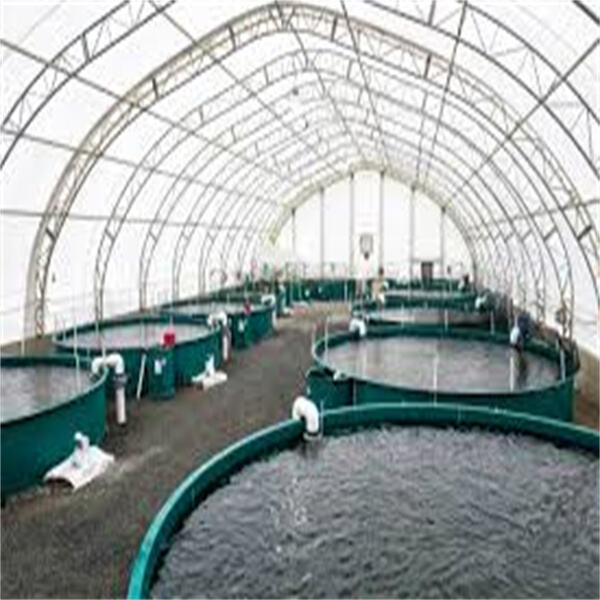 Innovation in Aquaculture Farming