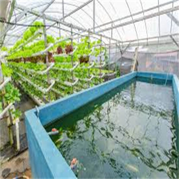 Safety and Utilize of Integrated Fish Farming