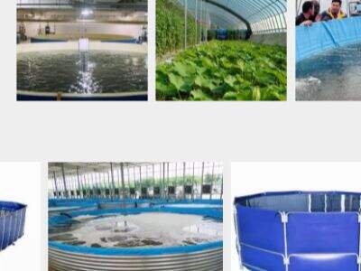 Strategies for Finding Reliable Aquaculture Solution Providers