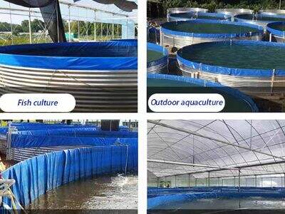 کنترل داده در زمان واقعی برای رشد بهینه در آبزی‌پروری حلقه بسته